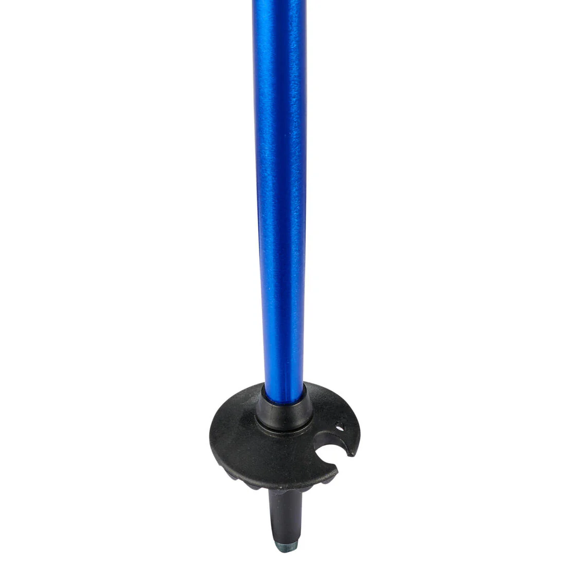 Bastones ski niños azul - PUSH PIN - Image 4