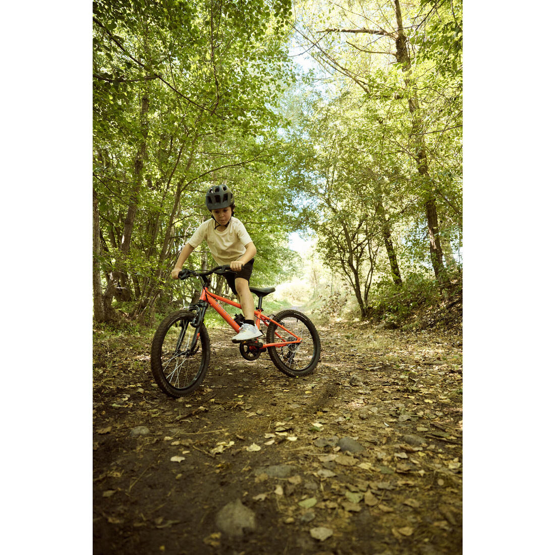 BICICLETA MOUNTAIN BIKE EXPL500 6 V. NIÑOS - CUADRO ACERO 20" - Image 28