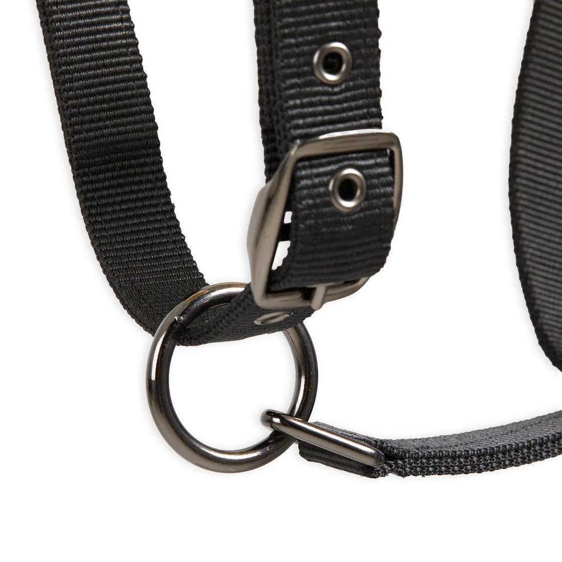 CABEZADA CUADRA EQUITACIÓN - Image 10