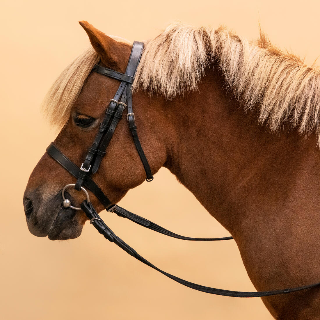 CABEZADA Y RIENDAS 100 - Image 8