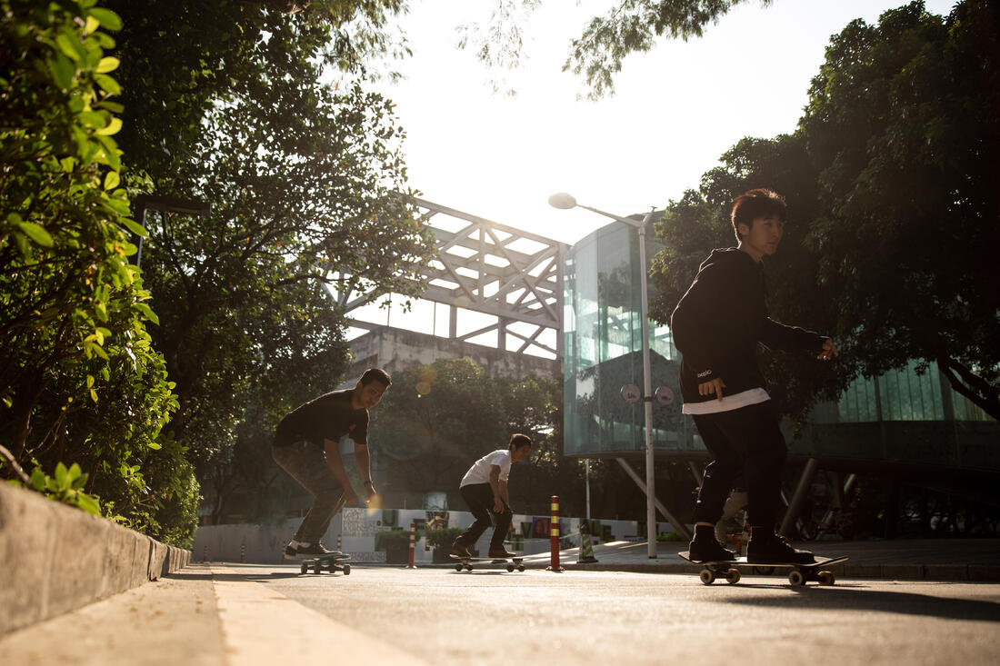 CRUISER SKATE  PALM WOOD YAMBA500 - Image 16