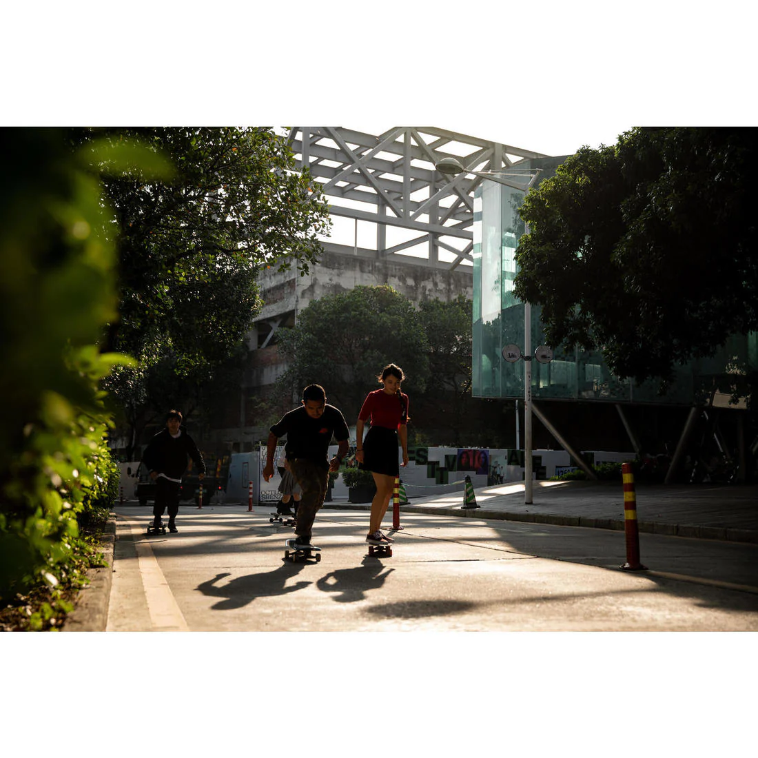 CRUISER SKATE  PALM WOOD YAMBA500 - Image 17