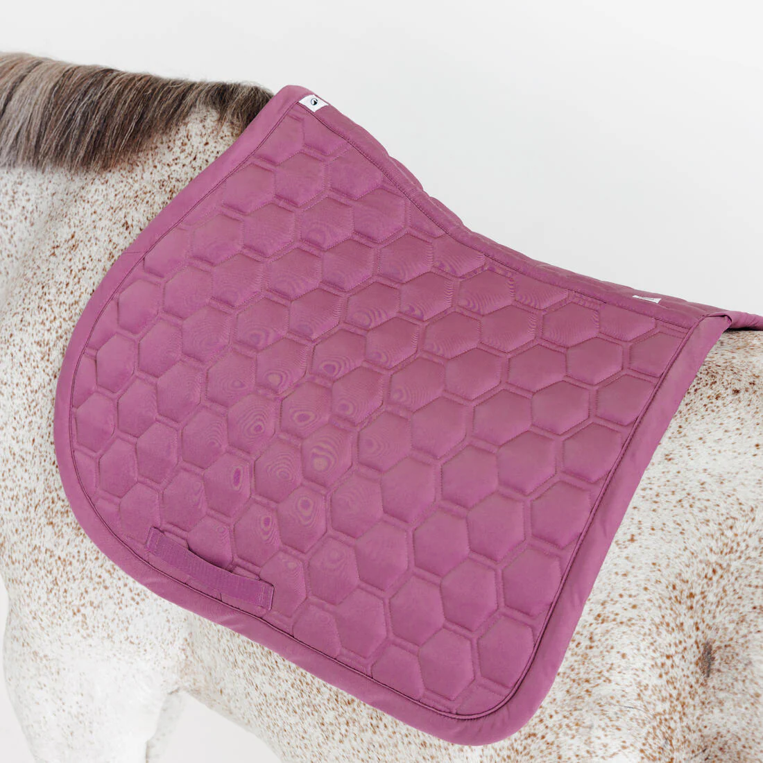 MANTILLA EQUITACIÓN 500 - Image 3