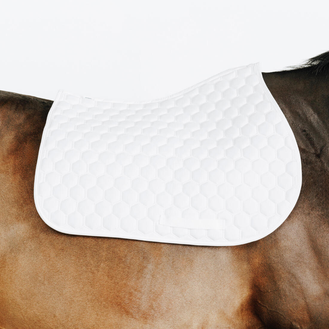 MANTILLA SILLA EQUITACIÓN COMPETENCIA 500 CABALLO/PONI - Image 4